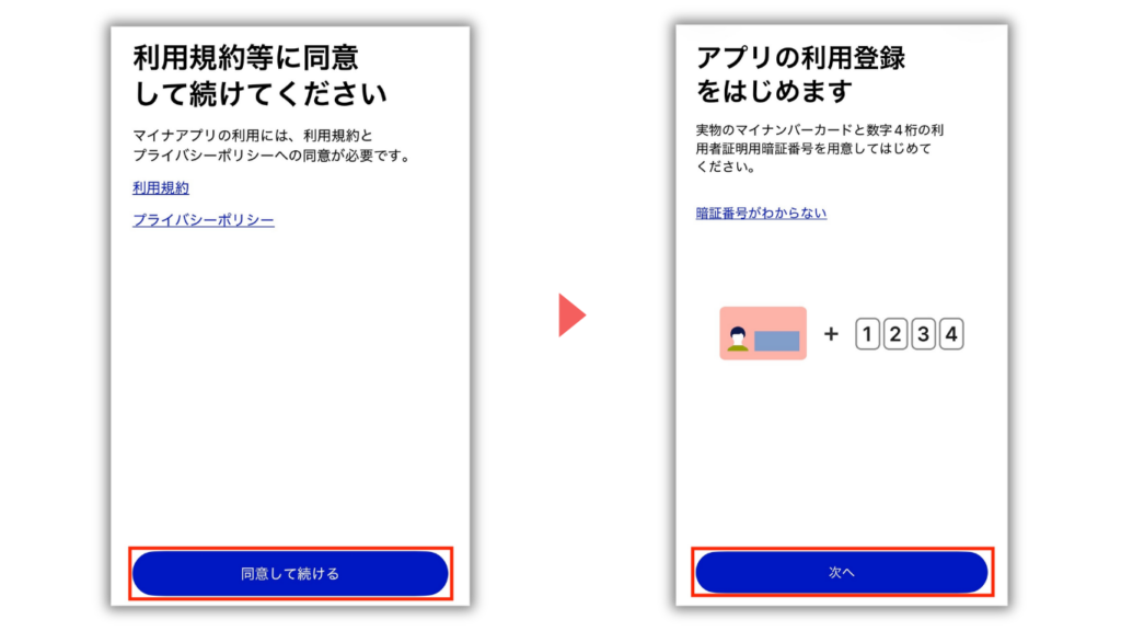 マイナアプリの利用規約への同意と利用登録の案内画面。マイナンバーカードと数字4桁の利用者証明用暗証番号を用意して次へ進む